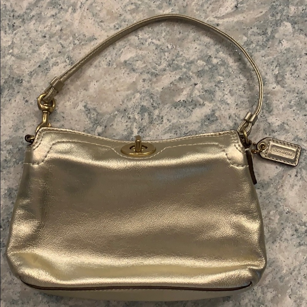 Mini purse